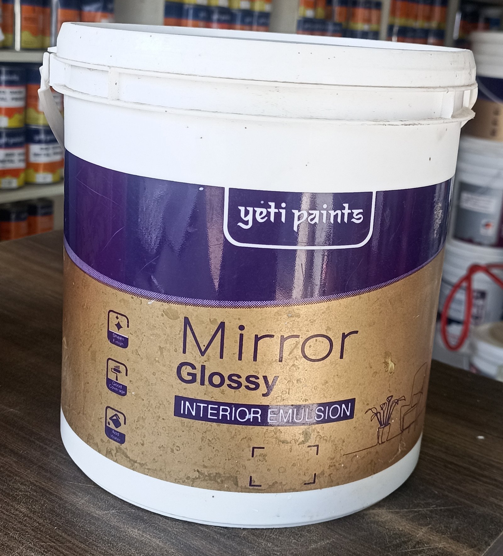 Mirror Glossy Int Eml MG-10(3.8litre)